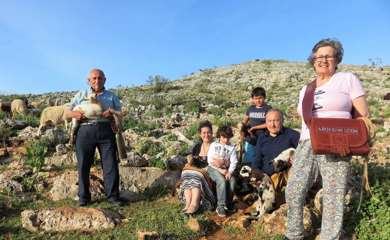 La oveja lojeña muestra su valor gastronómico y medioambiental en la